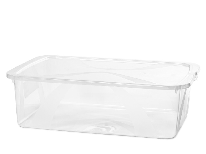 Rotho Box Lona in polipropilene con coperchio. Misure cm 57,5 x 17 x 39,5. lt.29