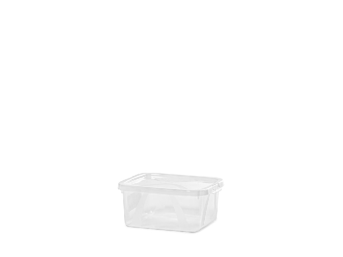 Rotho Box Lona in polipropilene con coperchio. Misure cm 20x 9 x16,5. lt-2