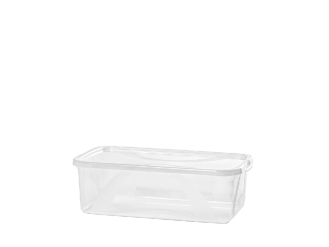 Rotho Box Lona in polipropilene con coperchio. Misure cm 35x11x20. lt.5