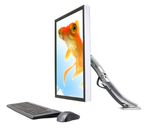 Ergotron-MX-Series-Desk-Mount-LCD-Arm-762-cm--30--Alluminio--MX-DESK-MOUNT-LCD-ARM---SILVER-