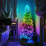 img-b788dbe8-7bb8-4c0f-b341-da8afe5ce8b2.png