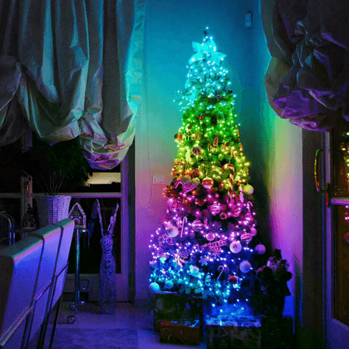 img-b788dbe8-7bb8-4c0f-b341-da8afe5ce8b2.png
