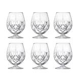 RCR Set di 6 Calici da liquore Alkemist Spirits RCR