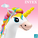 img-f12623ee-6376-485f-8579-3869378d50cc.png