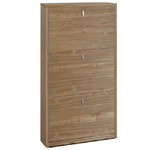 Pidema:Armadio scarpiera slim con 3 ripiani a ribalta. Scarpiere salvaspazio armadietto tre ante in legno colore noce, dimensioni 63x18x117 cm.