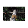 img-32917755-2388-41e2-bdfd-ad0520ee857e.png