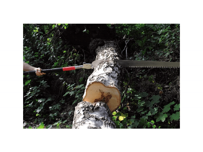 img-32917755-2388-41e2-bdfd-ad0520ee857e.png