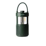 Pure-252584-altoparlante-portatile-Verde-20-W