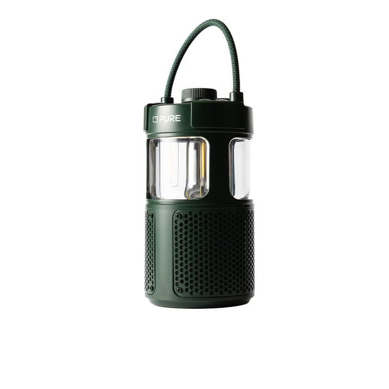 Pure-252584-altoparlante-portatile-Verde-20-W