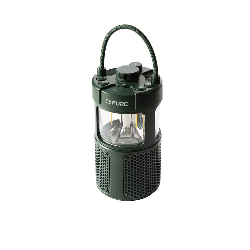 Pure-252584-altoparlante-portatile-Verde-20-W