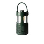 Pure-252584-altoparlante-portatile-Verde-20-W