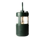 Pure-252584-altoparlante-portatile-Verde-20-W