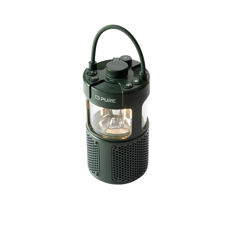 Pure-252584-altoparlante-portatile-Verde-20-W