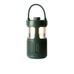 Pure-252584-altoparlante-portatile-Verde-20-W