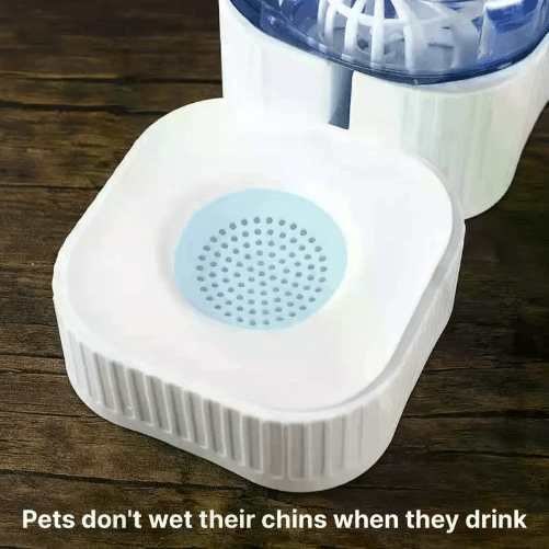 img-3793879c-54c9-4fa3-88dc-94f0f4a70126.png