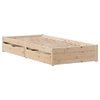 img-0b6a9ae3-d243-4a95-b642-915ceebae1b0.png