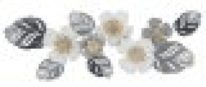 img-8c7d7845-a86c-43f4-af73-6843c482482c.png