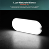 img-07181b7b-14cb-4c95-a2b7-c6cd193e1906.png