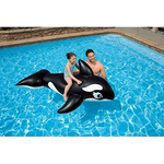 SI.TRADE CAVALCABILE ORCA 193 x 119