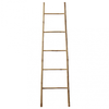 img-c901b030-1469-47f5-8c0c-4ae6a1de93ce.png
