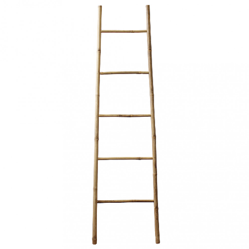 img-c901b030-1469-47f5-8c0c-4ae6a1de93ce.png