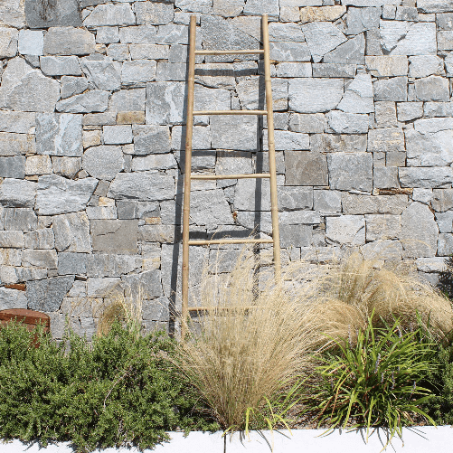 img-90059d3d-38c4-41c8-abd1-e97e07234f32.png