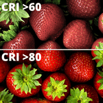 img-f607faea-3ec7-48b2-b119-6959648d2264.png
