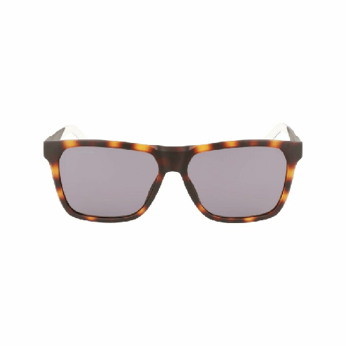 img-0d22d772-97f5-4e58-86bd-0f8af9f9b555.png