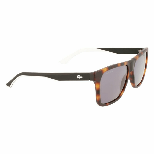 img-01c19f8e-6865-4d04-a175-e2eb544ee962.png