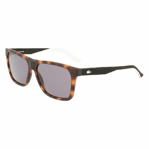 img-2433bb42-7d20-4f41-b7f0-9ed18504ece4.png