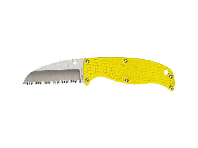 img-4236b196-2bcd-446a-ad94-84ff6b0a8faf.png