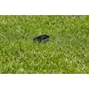 Gardena-Kit-smart-irrigation-Control-Sensor