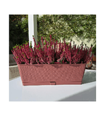 img-cf6e70a2-7690-4bfd-8cd0-23da2344c742.png