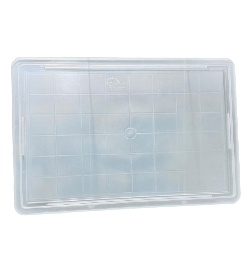 Genus Dei, coperchio Trasparente per cassetta cm 30x40