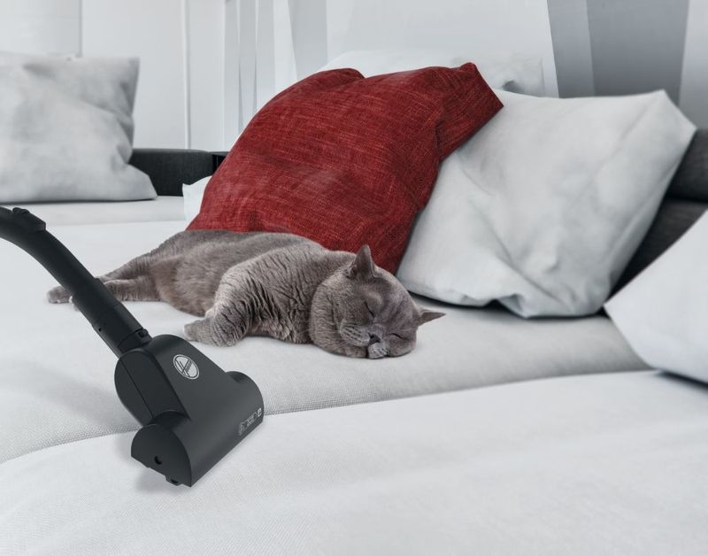 Hoover-Brave-BV60PET-011-25-L-A-cilindro-Secco-700-W-Sacchetto-per-la-polvere