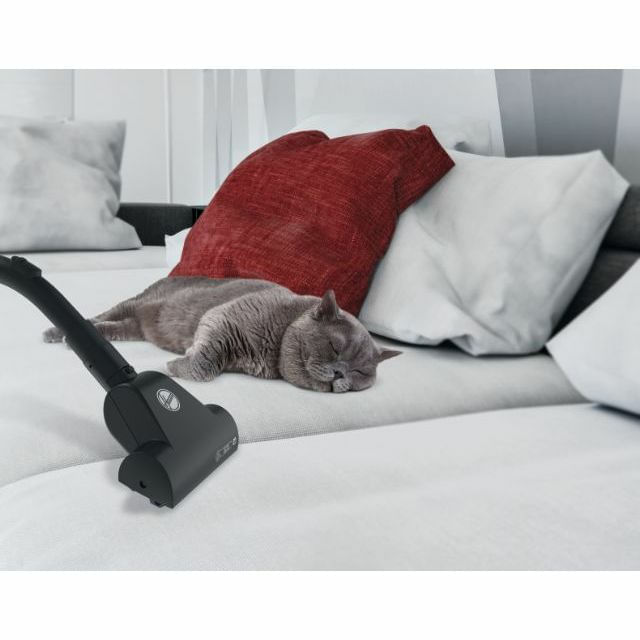 Hoover-Brave-BV60PET-011-25-L-A-cilindro-Secco-700-W-Sacchetto-per-la-polvere