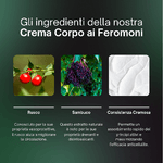 AdipoSolv-crema-snellente-pancia-fianchi-Brucia-Grassi-|-Glutei-Anticellulite-Forte-|-Trattamento-Corpo-Intensivo-Con-Drone-Cosmetico-200ml