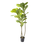 Lupia---Pianta-artificiale-di-Fico-in-Vaso-170-cm