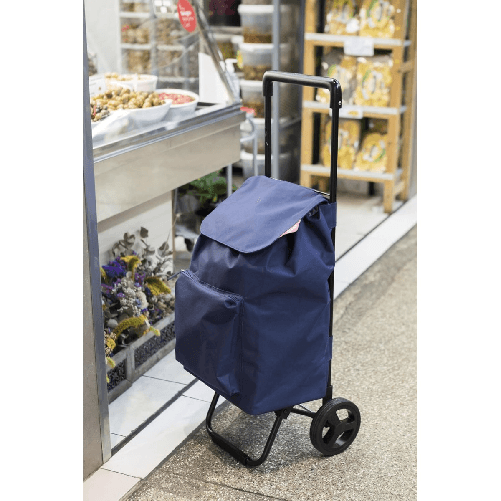 Carrello-per-Spesa-Pieghevole-Carrellino-con-Ruote-Impermeabile-Blu