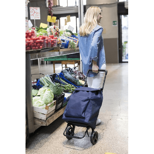 Carrello-per-Spesa-Pieghevole-Carrellino-con-Ruote-Impermeabile-Blu