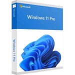 Microsoft Windows 11 Pro 1 licenza/e