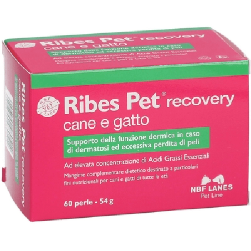 Ribes Pet Recovery Perle 40,2g