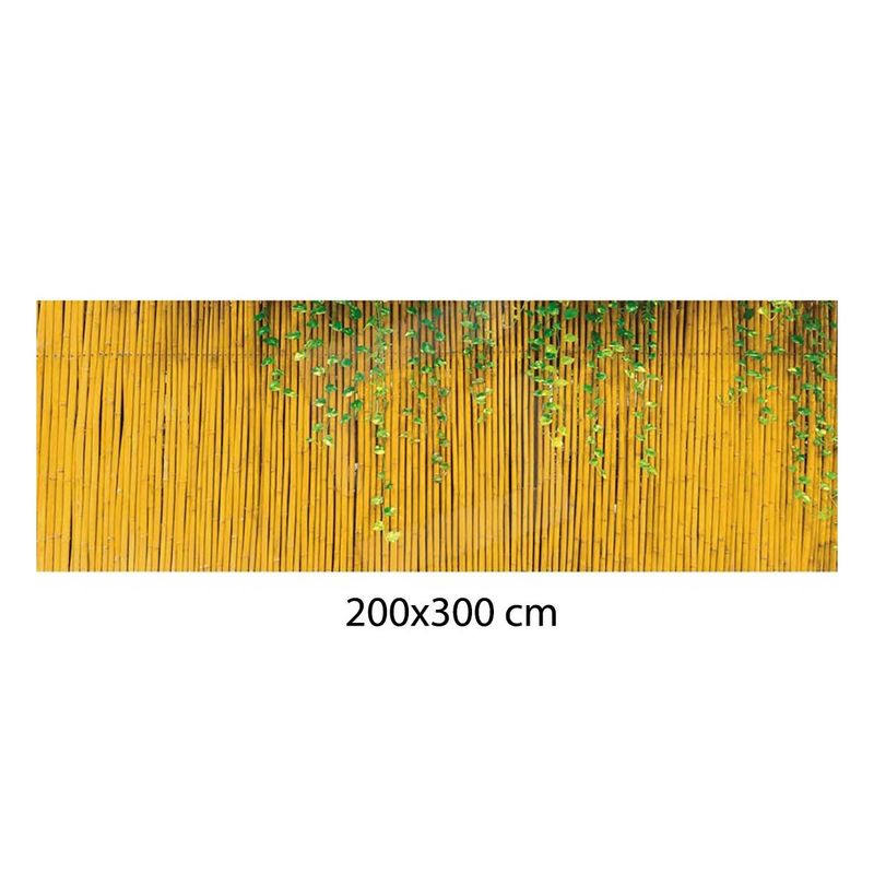 Arella-200x300-in-Cannucce-di-Bambu-Frangivista-Recinzione-per-Cancello