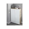 Scarpiera-in-Legno-Salvaspazio-Armadio-Portascarpe-Mobile-2-Ante-con-Ripiani