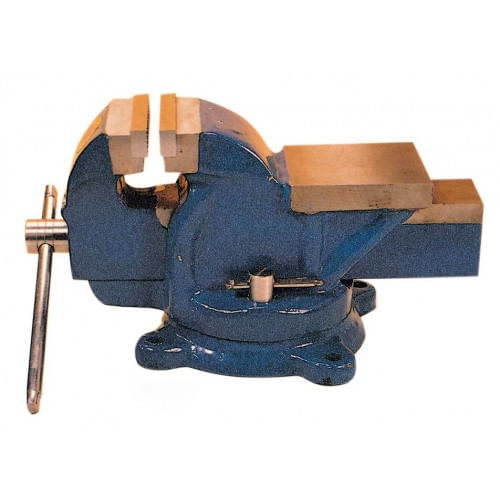 Morsa-Banco-Lavoro-Girevole-100-mm-Ganasce-Acciaio-Ghisa-Incudine-Professionale