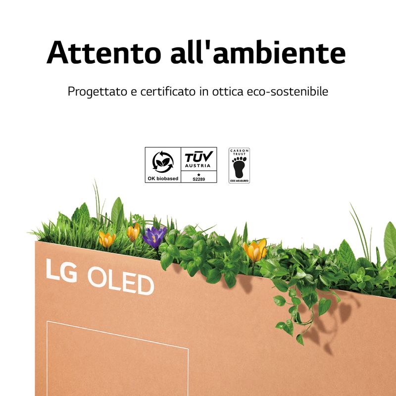 LG-OLed-4K-Tv-55---Serie-CS6-OLED55CS6LA-Smart-Tv