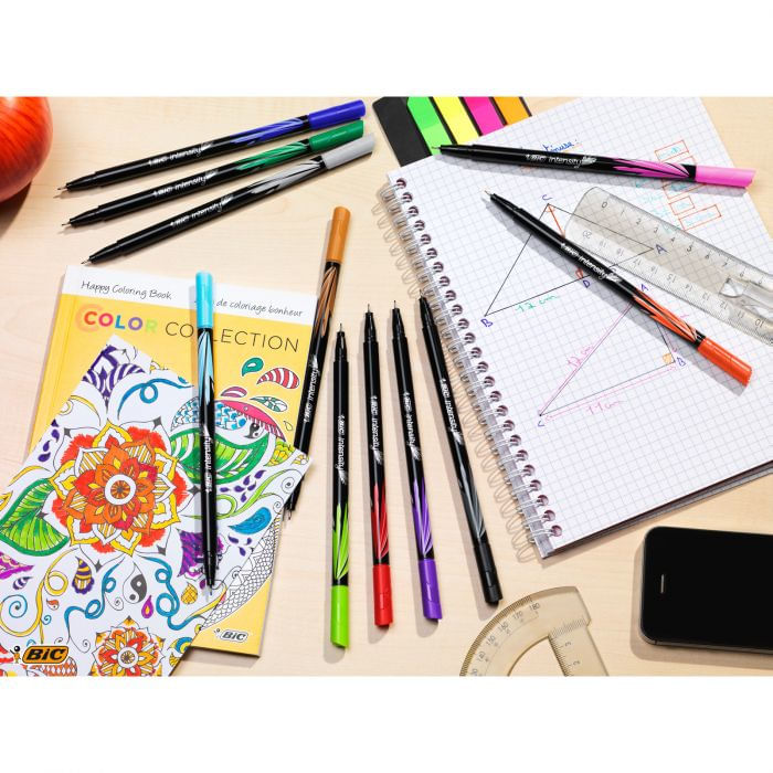 Bic-Confezione-6-Intensity-Fineliner-Pastel