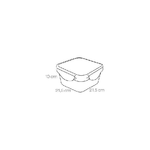 Tescoma-Contenitore-Quadro-L-30-21X21-Freshbox