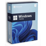 Microsoft Windows 11 Home 1 licenza/e