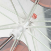 img-09cdabc1-a0d0-4ea1-ac54-bbd48d16e431.png